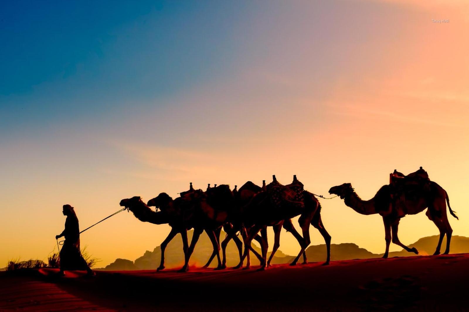 Scarlet Luxury Camp Wadi Rum Exterior photo
