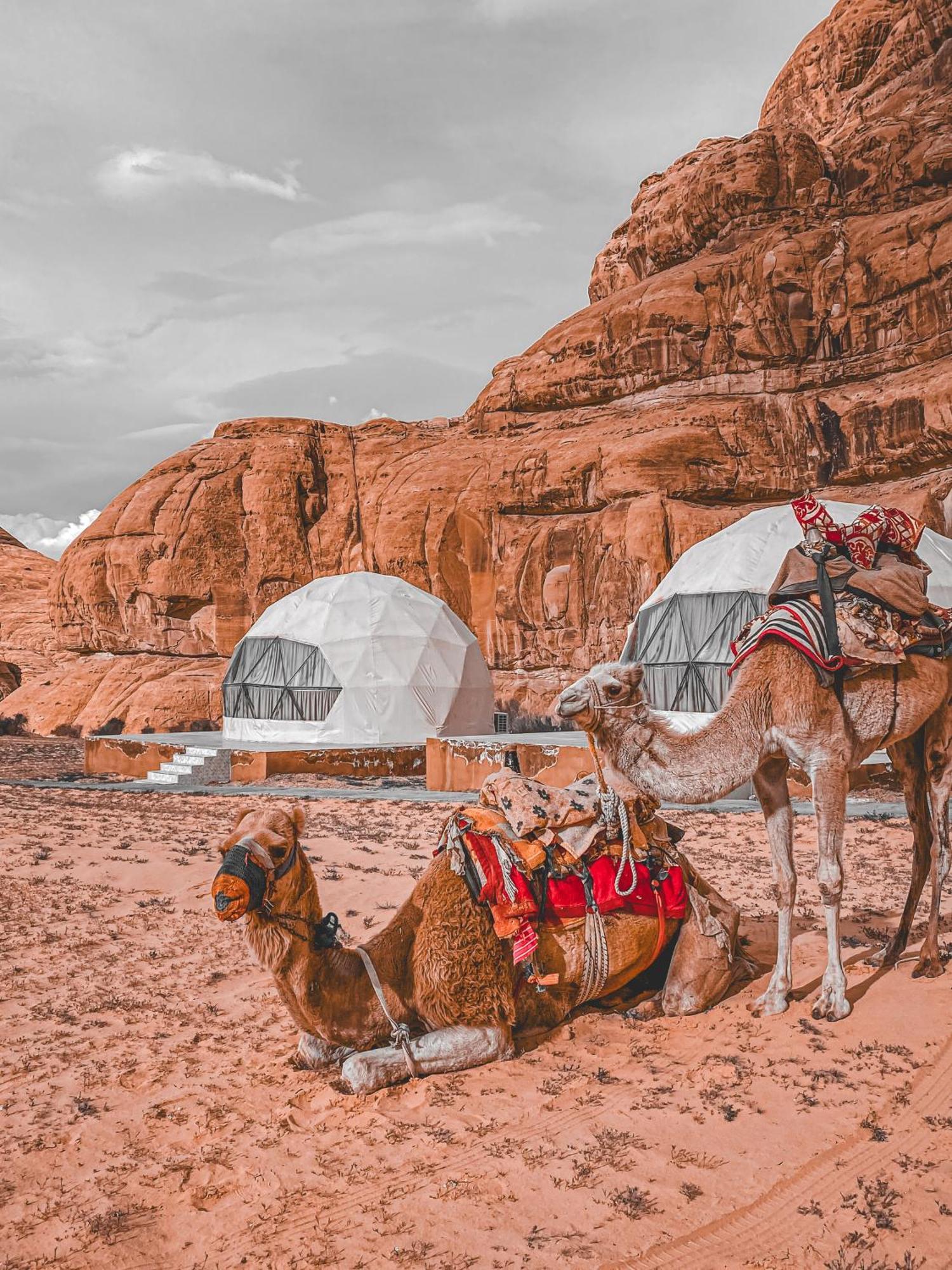 Scarlet Luxury Camp Wadi Rum Exterior photo